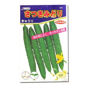 野菜の種/種子 さつきみどり・きゅうり 1.2ml（メール便発送）サカタのタネ 種苗