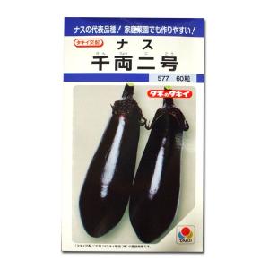 野菜の種/種子 千両二号・ナス なす 50粒（メール便発送）タキイ種苗｜vg-harada