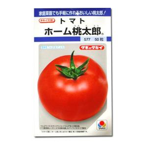 令和8年入荷予定なし】野菜・種/苗［春植えジャガイモ種芋］インカの