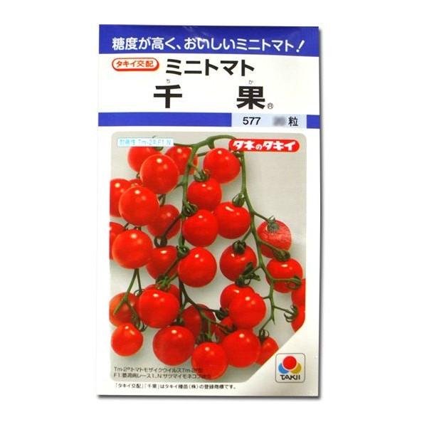 野菜の種/種子 千果・ミニトマト 16粒（メール便発送）タキイ種苗