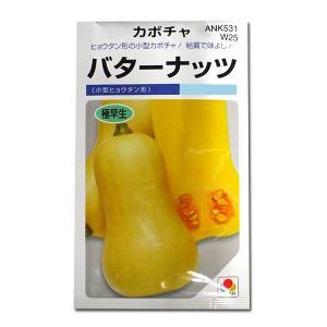 野菜の種/種子 バターナッツ・カボチャ 16粒（メール便発送）タキイ種苗｜ベジタブルガーデン ハラダ