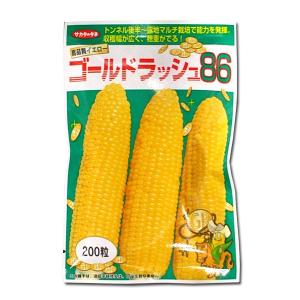 野菜の種/種子 ゴールドラッシュ・とうもろこし トウモロコシ 200粒