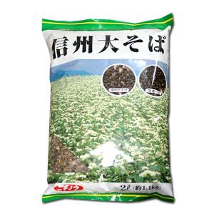 大人気！】野菜・種/種子 おおまさりネオ 落花生・生もの種 2dl(約70粒