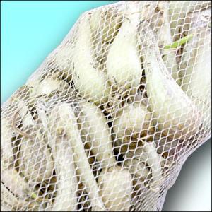 野菜・種/苗 国産ラッキョウ ラッキョ らっき...の詳細画像3