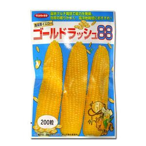 野菜の種/種子 ゴールドラッシュ88・とうもろこ...の商品画像