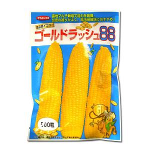 野菜の種/種子 ゴールドラッシュ88・とうもろこし 500粒...