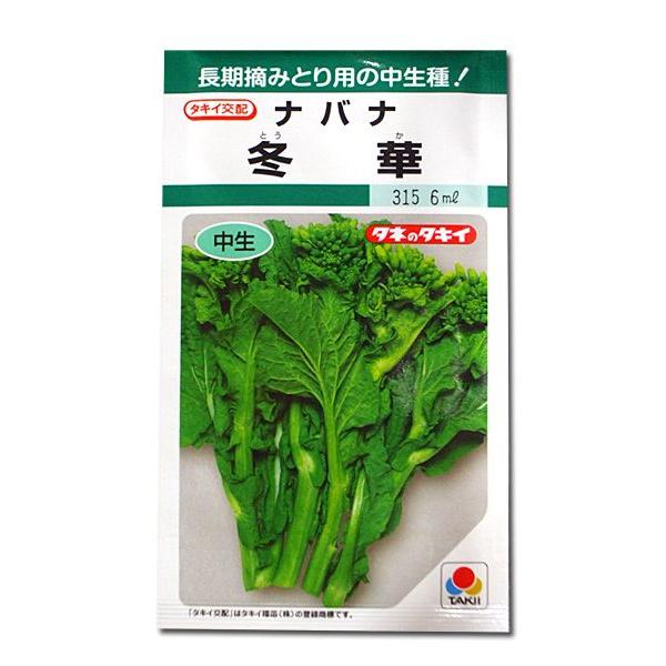 野菜の種/種子 冬華・ナバナ・なばな　菜花 5ml（メール便発送）タキイ種苗