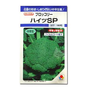 大人気！】野菜・種/種子 おおまさりネオ 落花生・生もの種 1L (約370
