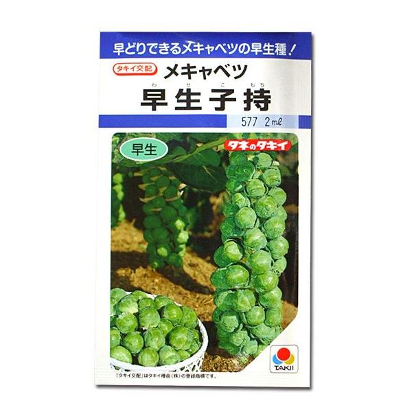 野菜の種/種子 早生子持・メキャベツ 1.8ml（メール便発送）タキイ種苗