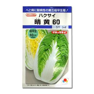 野菜の種/種子 晴黄60・ハクサイ 0.9ml(...の商品画像