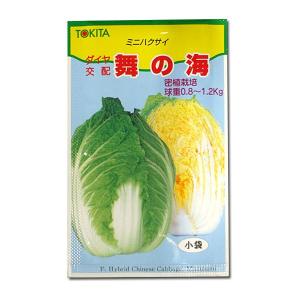 野菜の種/種子 舞の海・ミニハクサイ 2ml (...の商品画像
