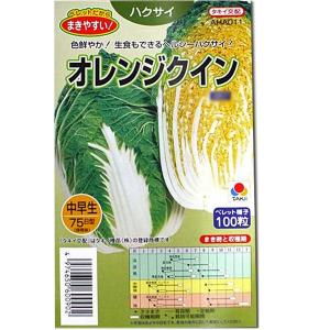 大特価！】野菜の種/種子 おおもの83・とうもろこし・スイートコーン