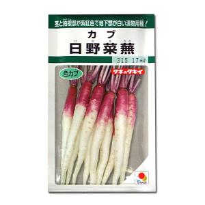 野菜・種/苗 千葉県産 大ショウガ/近江生姜 大生姜 大しょうが