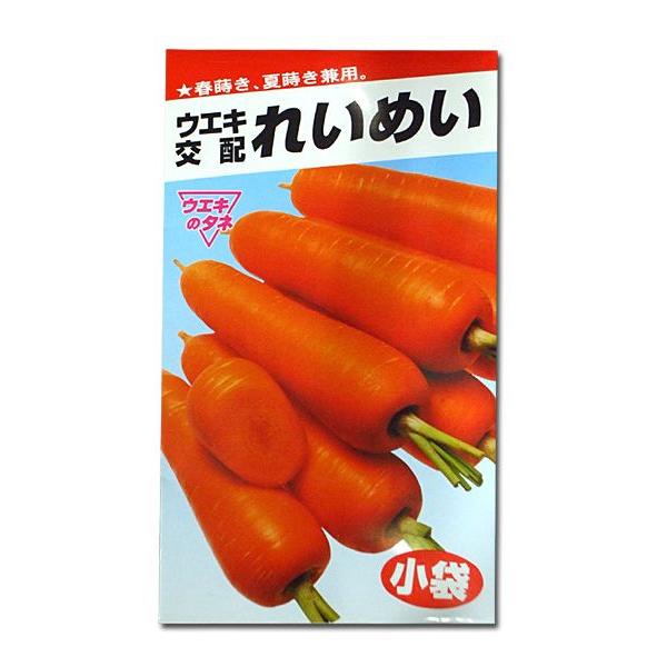 野菜の種/種子　れいめい・ニンジン にんじん　人参　10ml　（メール便発送）