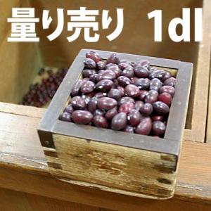 野菜・種/苗 青実はやとうり 千成うり 千成瓜 隼人瓜 ハヤトウリ 種