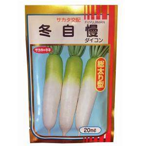 大人気！】野菜・種/種子 おおまさりネオ 落花生・生もの種 1dl(約35粒