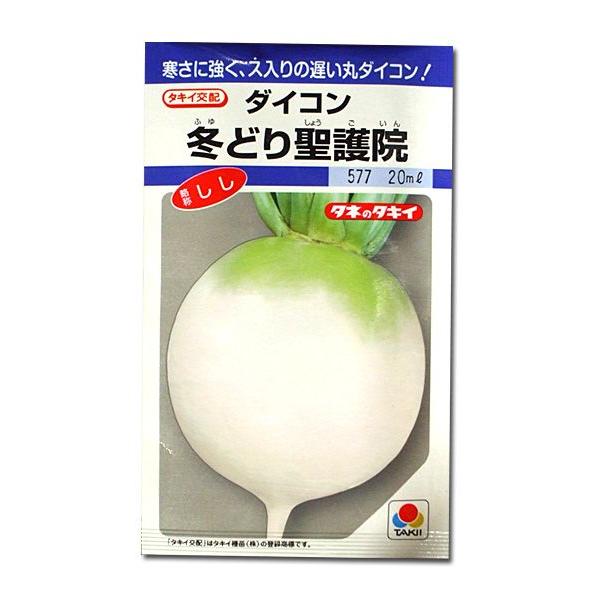 野菜の種/種子 冬どり聖護院・だいこん・しし 18ml（メール便発送）タキイ種苗