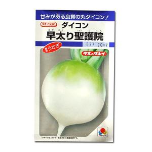 野菜の種/種子 早太り聖護院・だいこん・うさぎ 18ml（メール便発送）タキイ種苗｜vg-harada