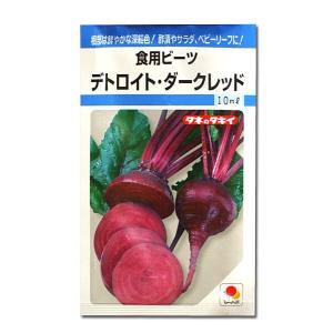 野菜の種/種子 デトロイト ダークレッド・食用ビーツ 9ml（メール便発送）タキイ種苗