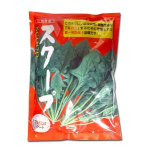 レタス ヒートガイ ペレット種子5000粒 タキイ種苗（株） : グリーン