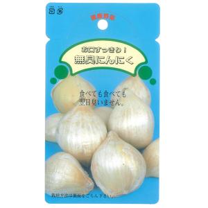 国産　無臭にんにく種子　ニンニク種子 　250ｇ