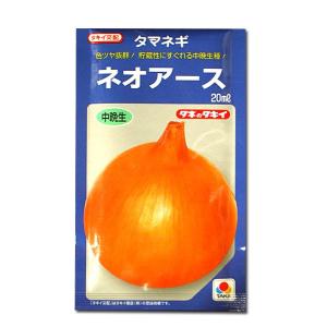 野菜の種/種子 ネオアース・タマネギ 20ml（メール便発送）タキイ種苗