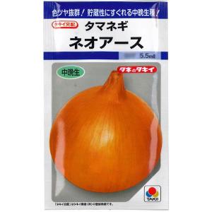 野菜の種/種子 ネオアース・タマネギ　 4.5ml（メール便発送）タキイ種苗