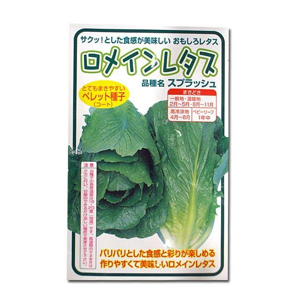 野菜の種/種子　ロメインレタス・スプラッシュ　100粒　（メール便発送）横浜植木