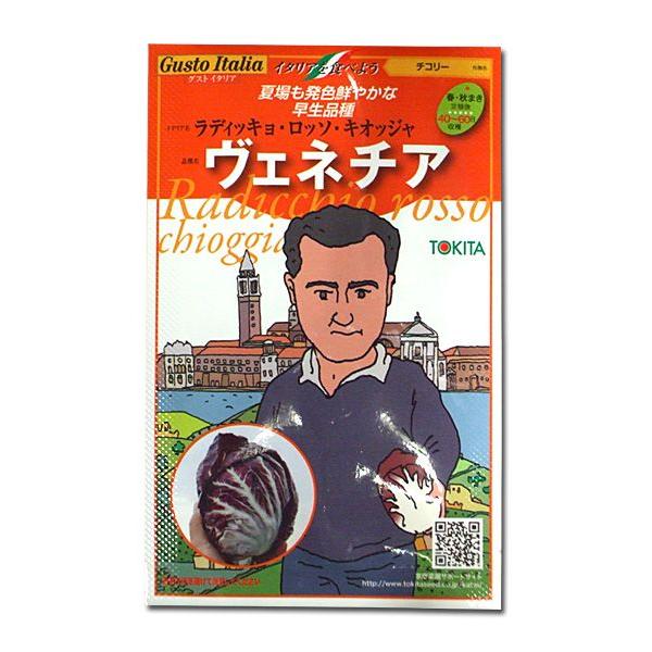 野菜の種/種子　ヴェネチア・ラディッキョ ロッソ キオッジャ/チコリー・イタリア野菜　80粒　（メー...