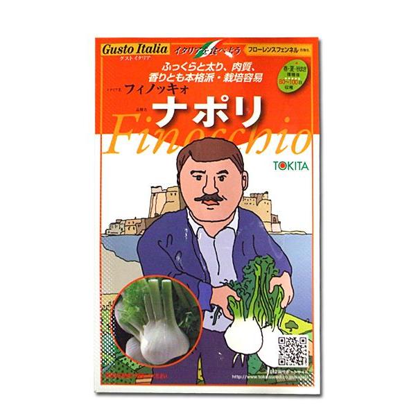 野菜の種/種子　ナポリ・フィノッキォ/フローレンスフェンネル・イタリア野菜　80粒　（メール便発送）