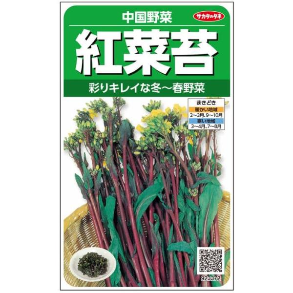 野菜の種/種子 紅菜苔（こうさいたい）・中国野菜 5ml（メール便発送）サカタのタネ 種苗