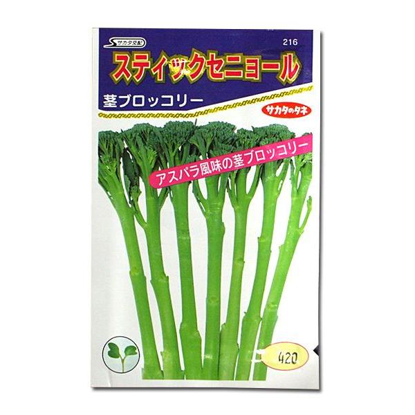 野菜の種/種子 スティックセニョール・茎ブロッコリー 0.8ml（メール便発送）サカタのタネ 種苗
