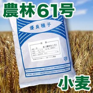 野菜の種/種子 小麦・農林61号 1kg アサヒ...の商品画像