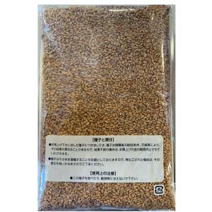 野菜の種/種子 小麦・農林61号 1kg アサ...の詳細画像4