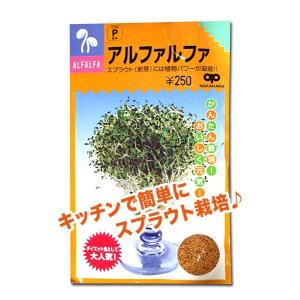 スプラウトの種　アルファルファ 40ml（メール便発送）