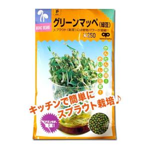 スプラウトの種　グリーンマッペ（緑豆）50ml（）