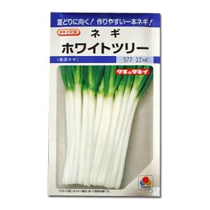 タキイ種苗　タマネギ　ソニック　2㎗ 楽天市場】ソニック玉葱種2㎗ｽﾀﾝﾄﾞﾊﾟｯｸ入（約20000粒相当分）タキイ