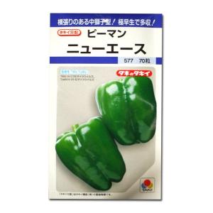 ピーマン（中獅子型） 種 『ニューエース』 APE002 タキイ種苗/小袋(DF