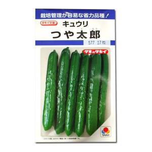 野菜の種/種子 ゴールドラッシュ・とうもろこし 2000粒 (大袋)サカタの