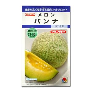野菜の種/種子 パンナ・メロン めろん 8粒（メール便発送）タキイ種苗
