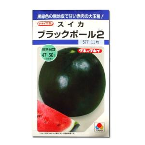 野菜の種/種子 ブラックボール2・スイカ 9粒(...の商品画像