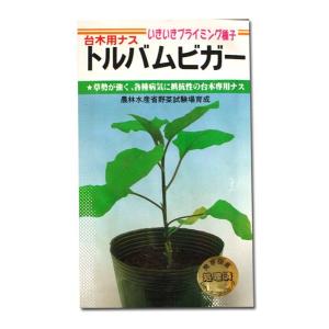 台木用ナスの商品一覧 通販 Yahoo ショッピング