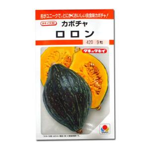 大特価！】野菜の種/種子 おおもの83・とうもろこし・スイートコーン