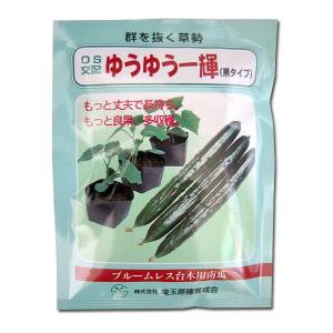 野菜の種/種子 ゴールドラッシュ・とうもろこし 2000粒 (大袋)サカタの