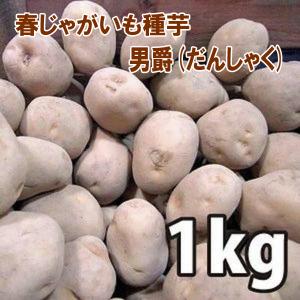野菜・種/苗［春植えジャガイモ種芋］北海道産 男爵