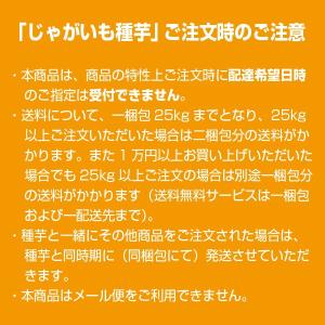 【令和8年入荷予定なし】野菜・種/苗[春植えジ...の詳細画像1