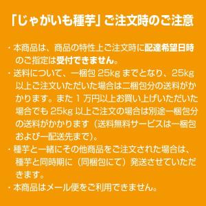 半額セール開催中!【￥470→￥235】野菜・...の詳細画像1