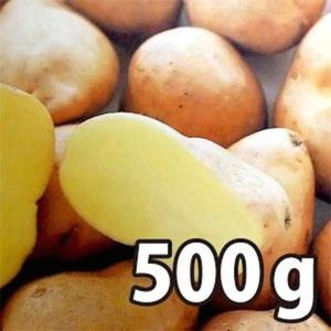 野菜・種/苗［春ジャガイモ種芋］インカのめざめ いんかのめざめ