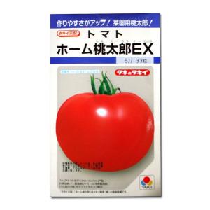 野菜の種/種子 ゴールドラッシュ・とうもろこし トウモロコシ 200粒