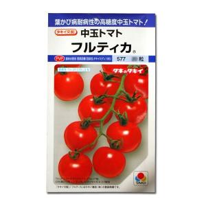 野菜の種/種子 フルティカ・中玉トマト 16粒(...の商品画像